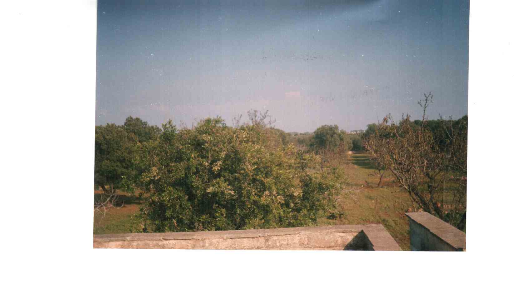 trullo senza cono al mare